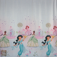 Woal disney 160 Księżniczki 9A/160 2T DR DA21